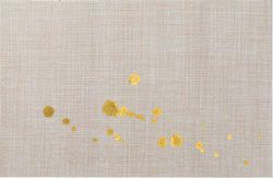 Placemat On-the-Spot Cleaning