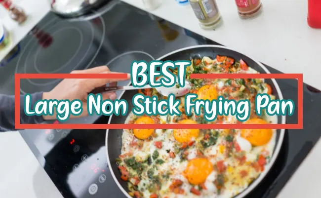 Best Large Non Stick Frying Pan