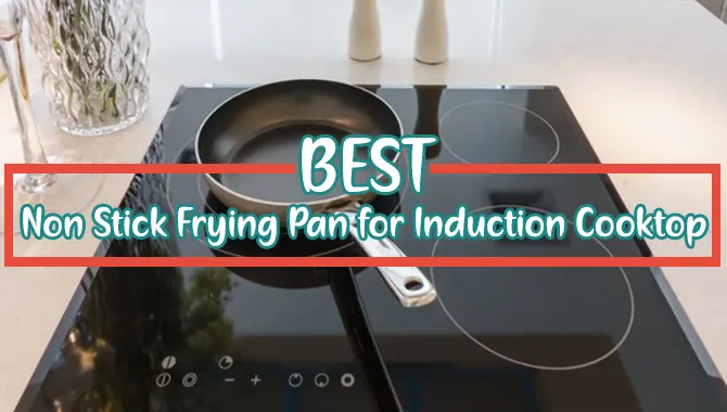 10 Best Non Stick Frying Pan for Induction Hob