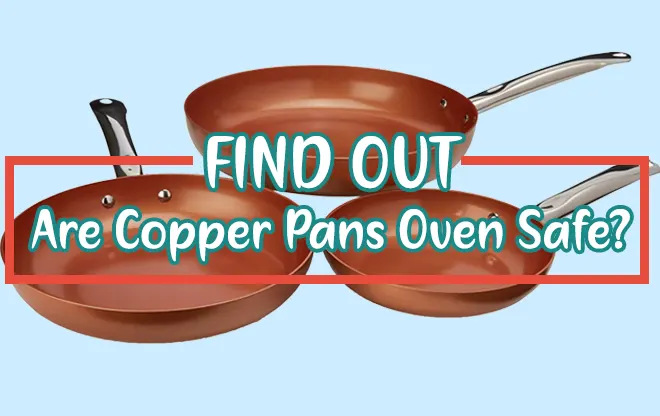 Are Copper Pans Oven Safe? [Find Out Risk and Precautions]